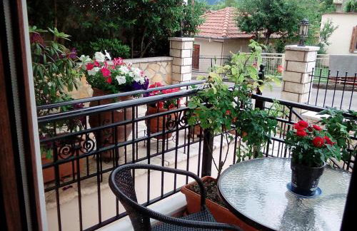 Chrysandra - Foto 44