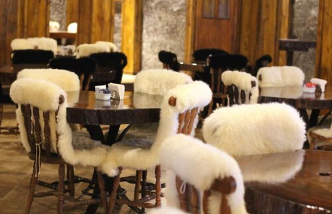 Hotel Fazenda Pampas - Foto 22