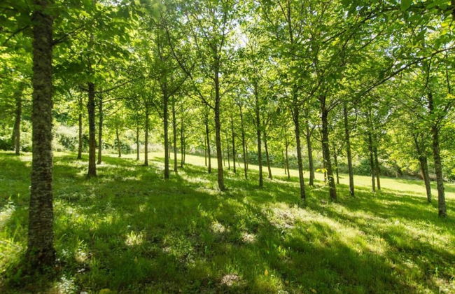 Apartment for 4 People, Poppi - Foto 33