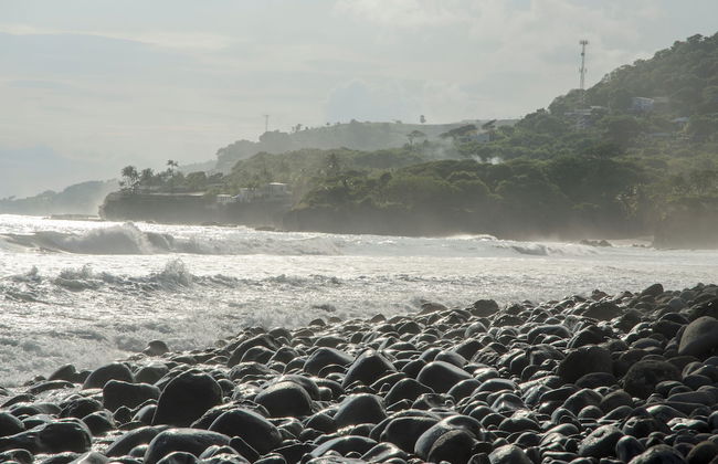 Tropical Escape @ Sunzal Surf City - Photo 31