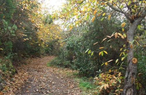 Finca Vistas al Teide con jacuzzi, wifi y TV satélite - Foto 40