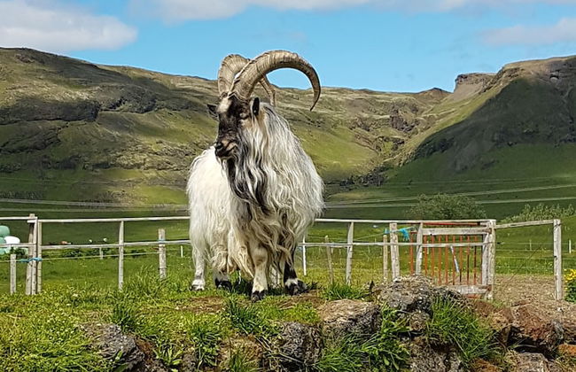 Vorsabær 2 Holiday Home - Foto 18