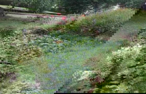 Gîte les Mésanges - Foto 20