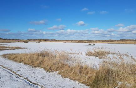 Seevilla Wietjes Whg 3 - Foto 21