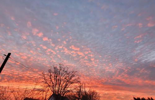 Märchenhaft urlauben auf dem Alpakahof - Foto 41