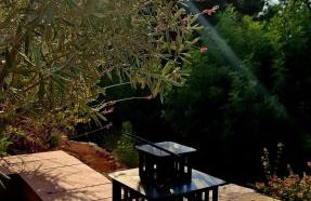 Guest House El Angelito de Olivas - Foto 16