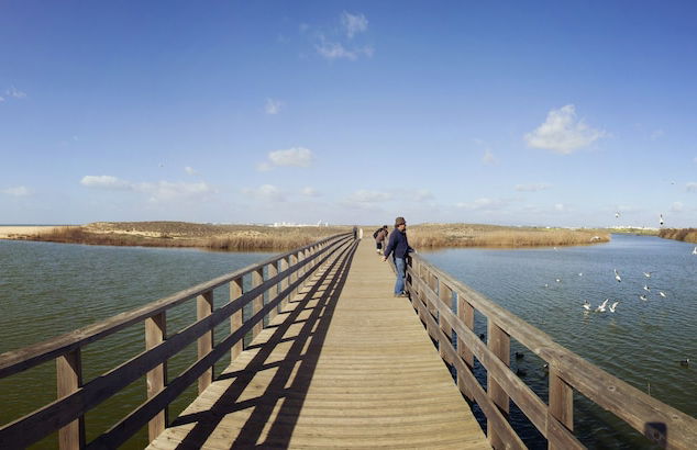 BaySide Salgados - Photo 36