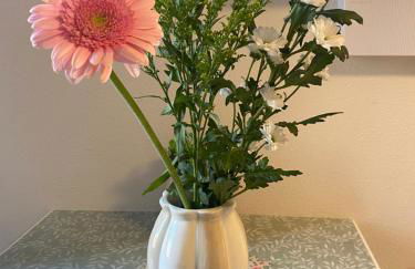 Lespinet BNB - Duplex avec parking - Foto 18