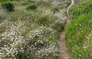 Les Joublanchas : Maison familiale mer et campagne pour 16 - Photo 30