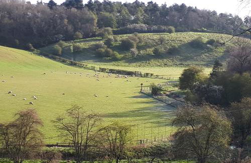 Greystones Lodge - Foto 39