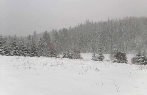 Olberówka - Foto 29