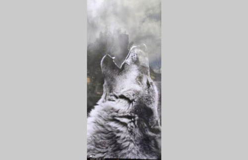 Le Refuge de L'alpaga Superbe duplex au pied des pistes avec Parking couvert gratuit - Photo 15