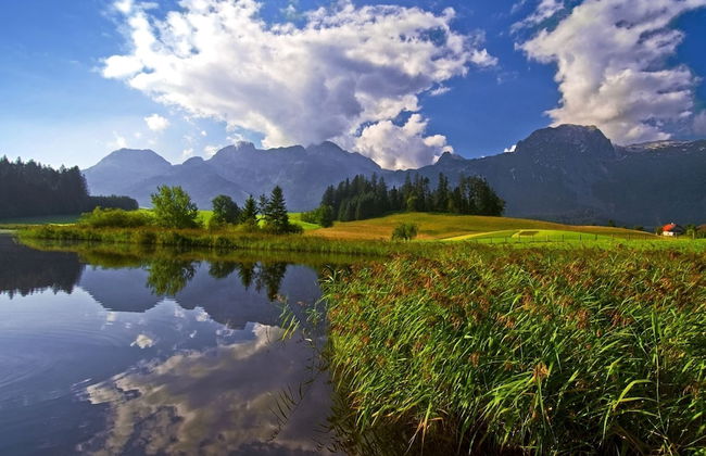 Chalet Near the ski Area With Sauna - Foto 35