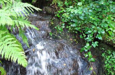 Moulin des Vernes - Foto 27