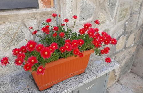 House Vittone Venaria Reale - Photo 26