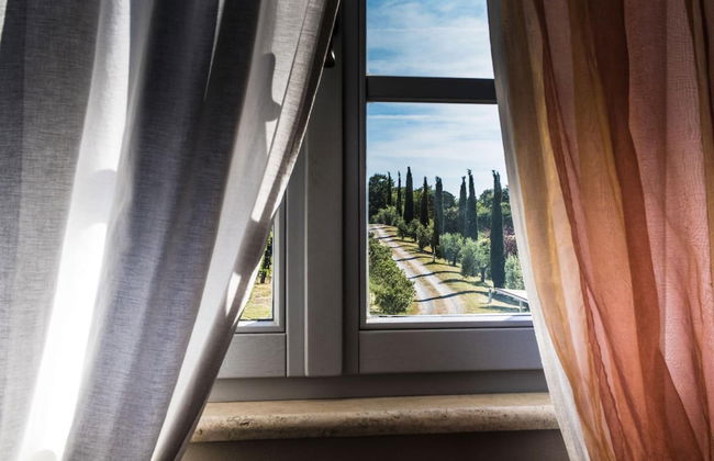 Bio Agriturismo Poggio Aione - Foto 20