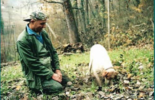 Profumi... - Foto 20