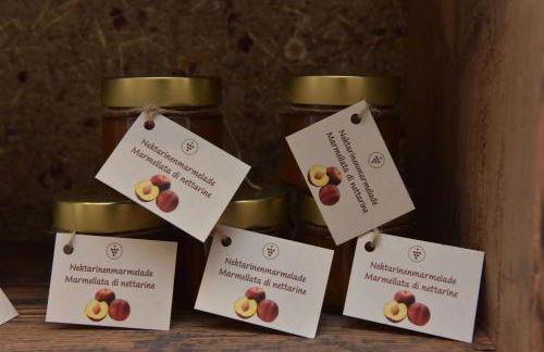 Pignathof Castanea - Foto 20