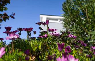 Apartman Milazzi, fully air-conditioned - Foto 1