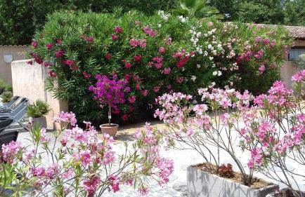 Le Mas du Vieux Chene - Foto 19