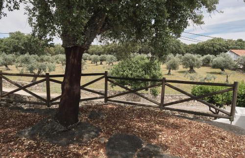 Casa do Brasão - Foto 69