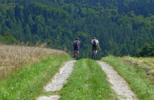 Na końcu świata - Foto 64