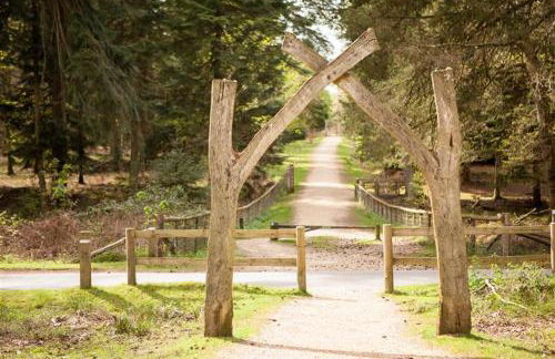 3 Bed in Brockenhurst oc-l30942 - Foto 25