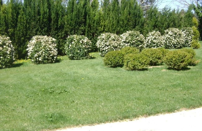 Bastide des Lauves - Foto 31