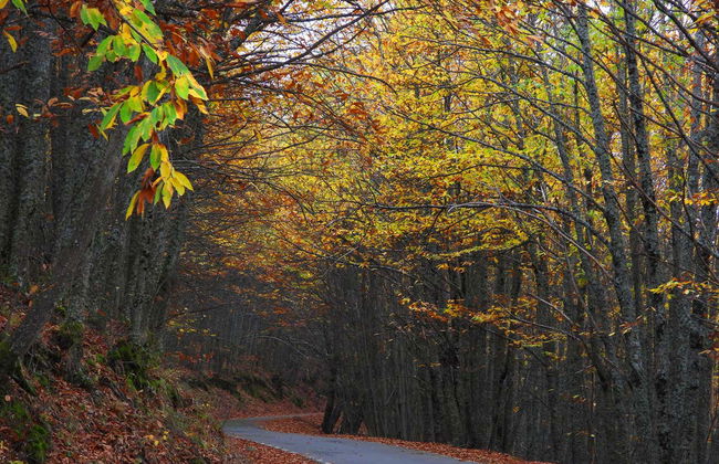 Tour en 4x4 por el valle del Ambroz - Foto 6