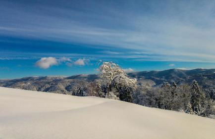 Ferienwohnung Holiswald - Foto 18
