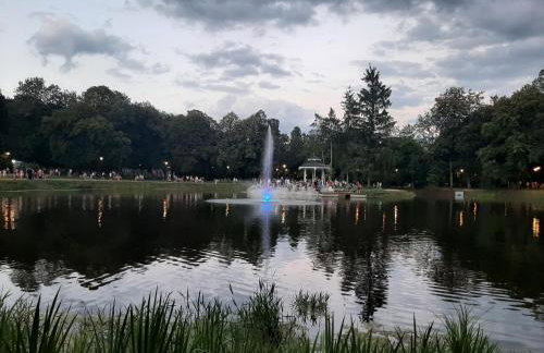 Green Ravine - Foto 31