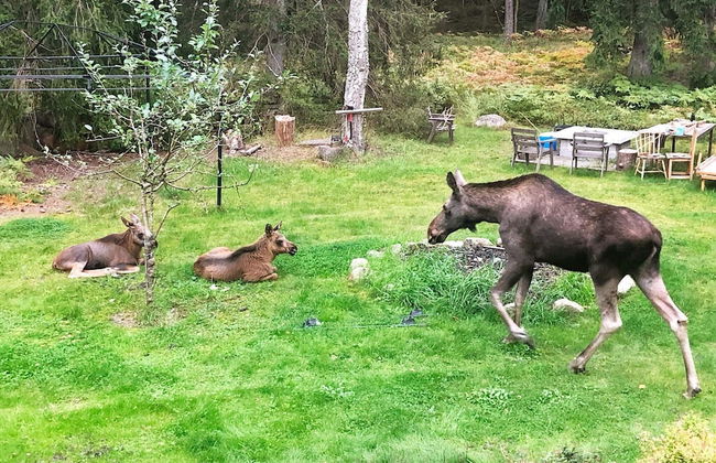 5 Person Holiday Home in Djurhamn-by Traum - Foto 14