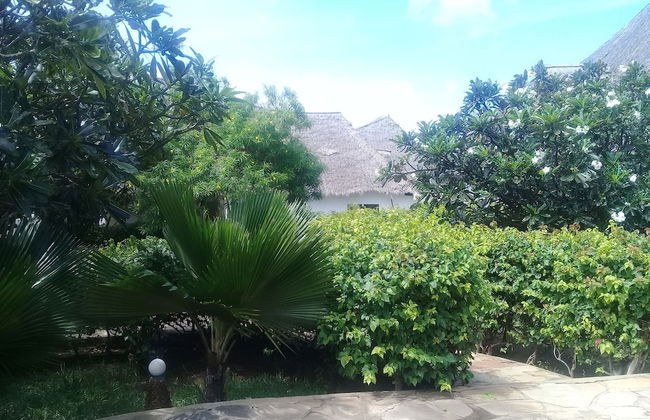 Lion Villa - Foto 21