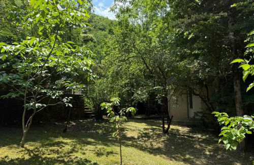 Les Cèdres - Foto 50