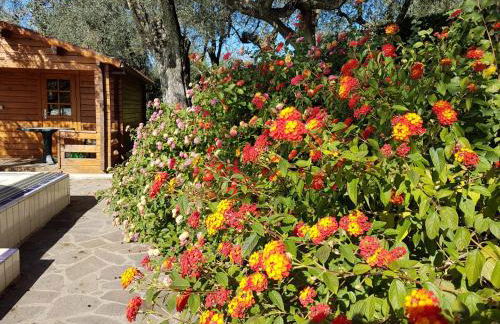 La Costareccia - Foto 10