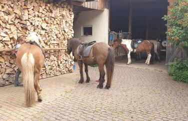 Studio Kaline - Foto 19