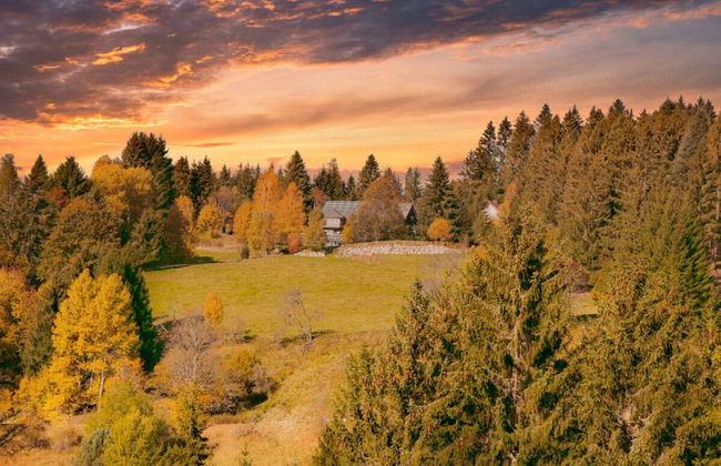 Holiday Home Scharzwald - Foto 9