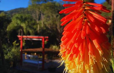 Propriedade inteira e Kombi-home em meio à mata - Foto 49