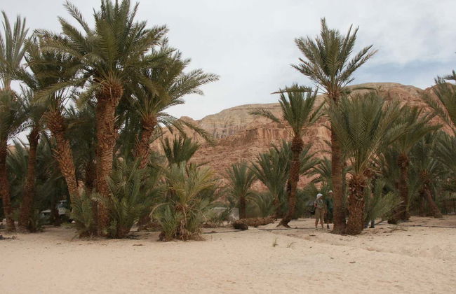 Tour de 4x4 pelo White Canyon e Ain Khunra - Foto 4