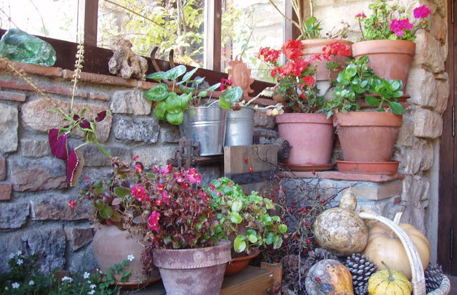 Mas de l'Arlequi Casa rural - Foto 53