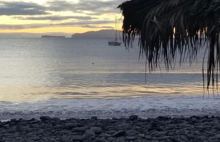 VIP Paradise Apartment - Foto 49