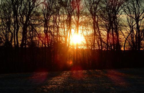 Haus Kellenburg - Foto 47