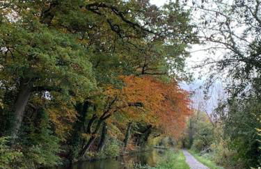 Mountain views in the heart of Brecon Town - Foto 76