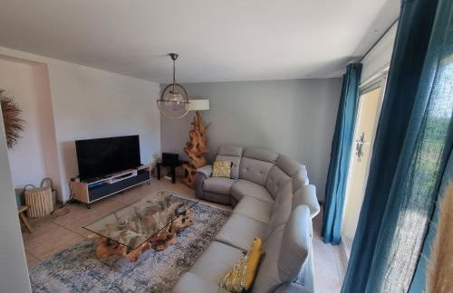 LA BASTIDE DE LUSON Villa 4 chambres Spa Sauna Piscine chaufée boulodrome - Foto 14