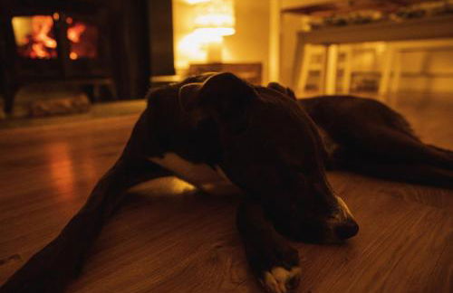 Castle Beach - Foto 25