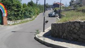 Casa Vacanze Li Galli - Foto 2