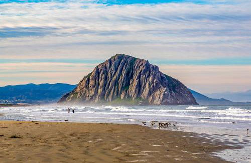 Verdon Oasis - Foto 4