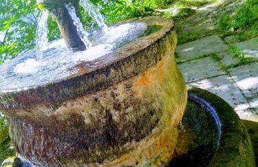 Otter Lodge - Photo 9