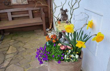 Apartment Curly - Foto 16