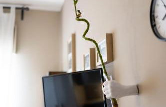 acasadigiò B&B - Foto 7